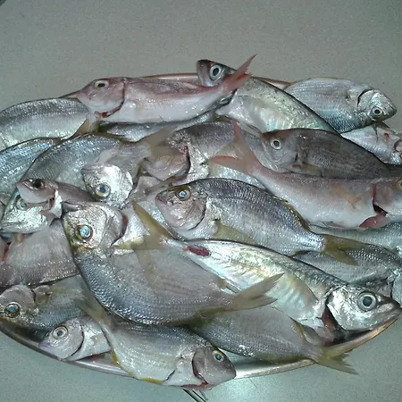 Suncruise Sailing Yacht Sun Odyssey